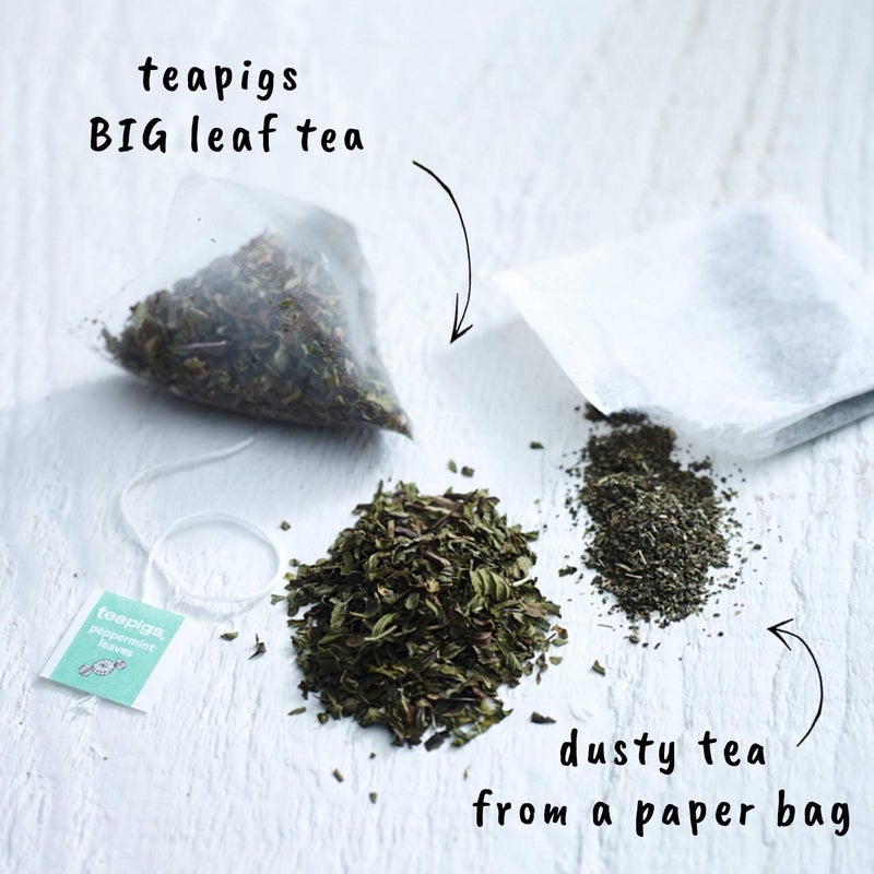 Teapigs Peppermint Leaves Herbal Tea - 15 Tea Bags - Image 2
